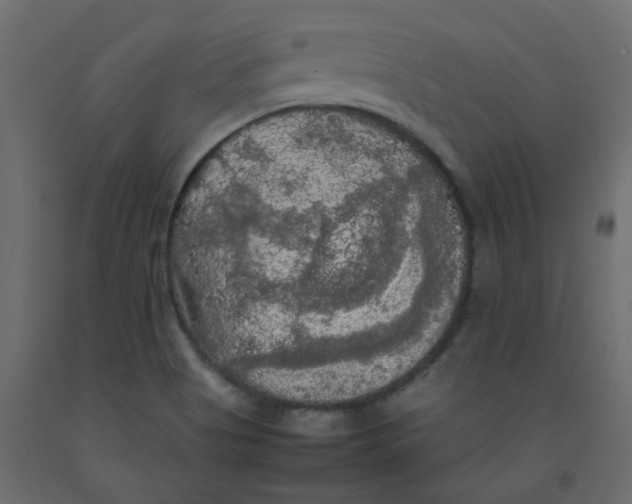 X0000092091513200710101050