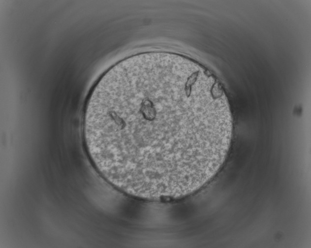 X0000092091514200710101050
