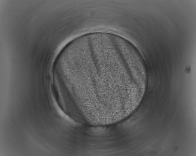 X0000092091515200710101050