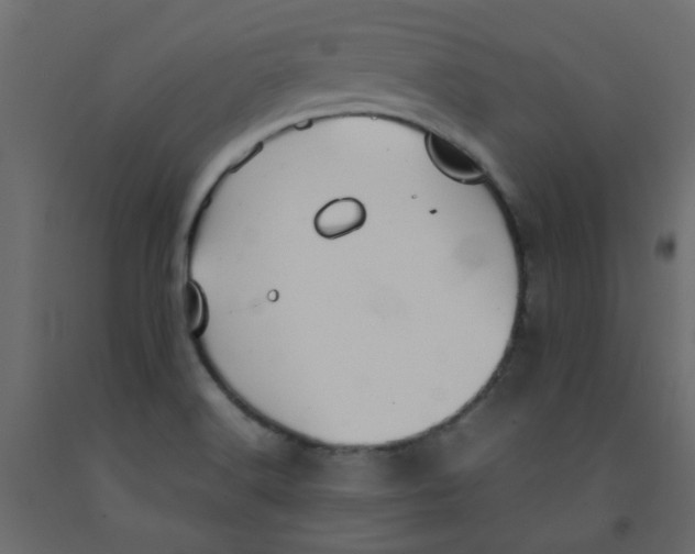 X0000092091516200710101050