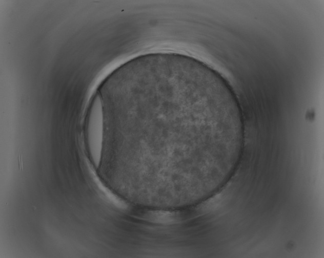 X0000092091517200710101050