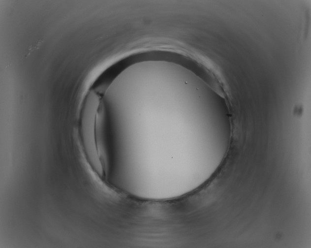 X0000092091520200710101050