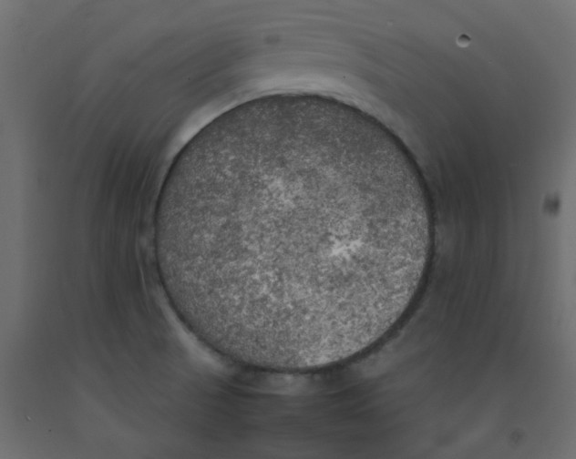 X0000092091521200710101050