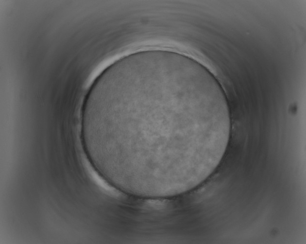 X0000092091523200710101050