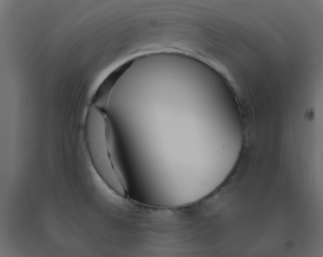 X0000092091524200710101050