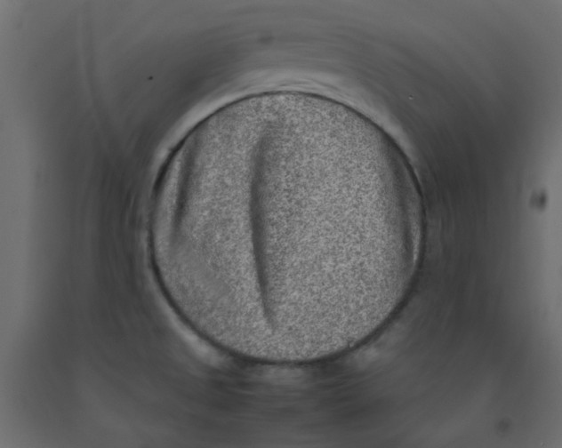 X0000092091525200710101050