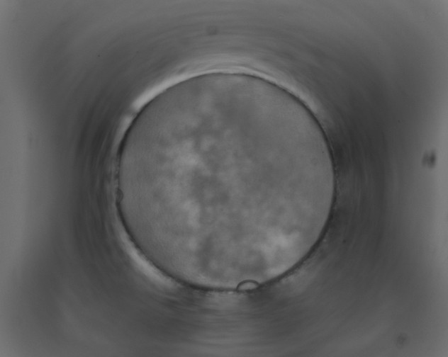 X0000092091526200710101050