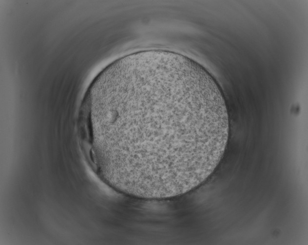 X0000092091527200710101050