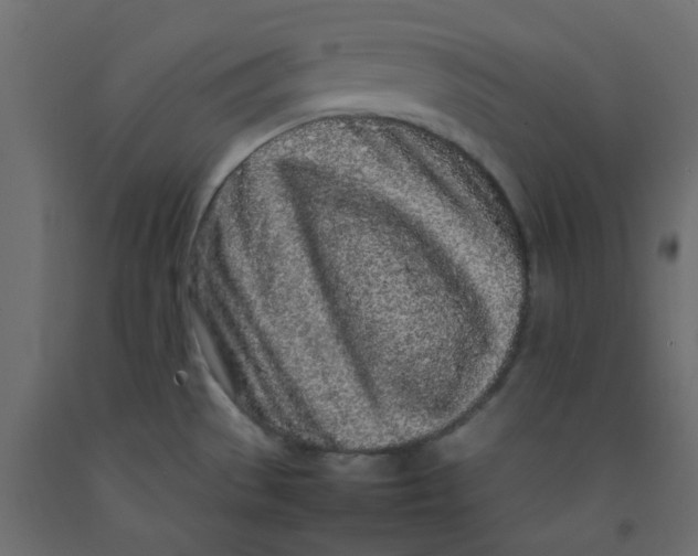 X0000092091529200710101050