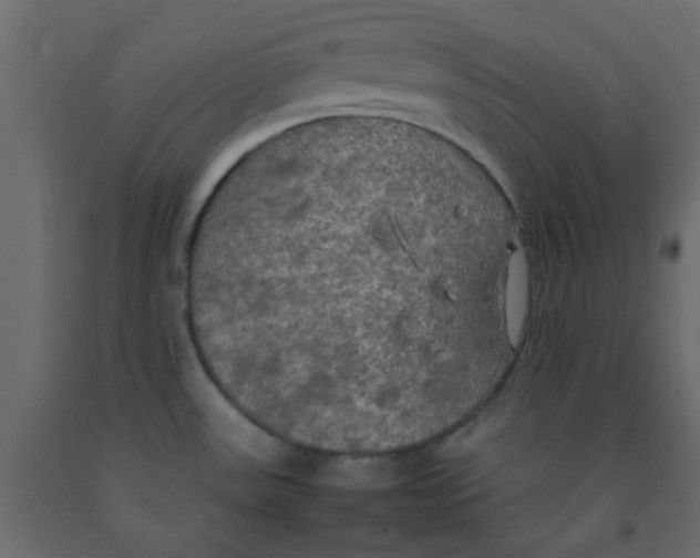 X0000092091531200710101050