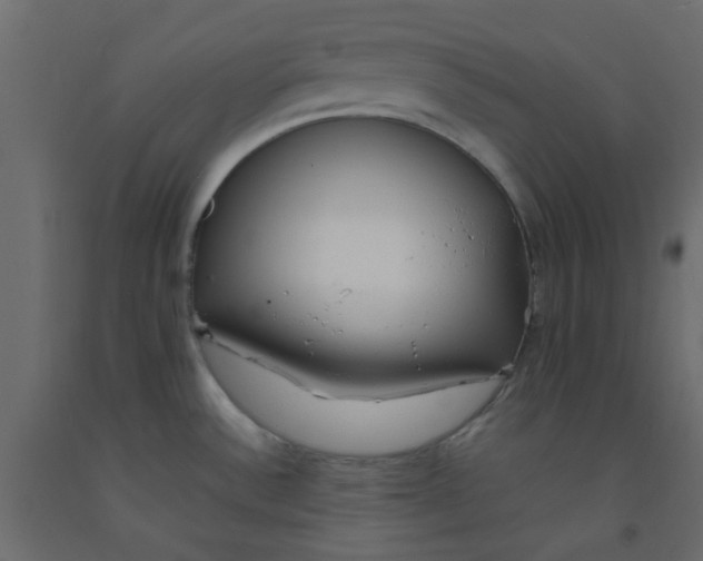 X0000092091532200710101050