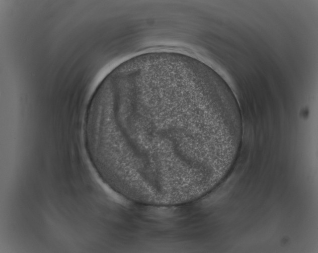 X0000092091533200710101050