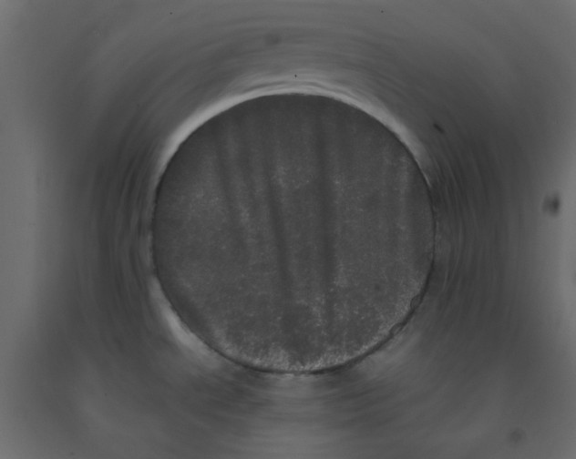 X0000092091534200710101050