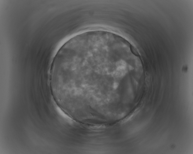 X0000092091535200710101050