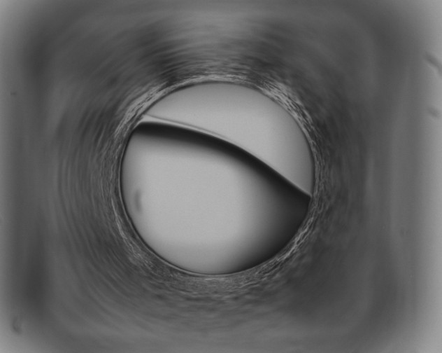 X0000092100001200709121119