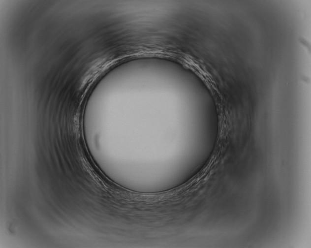 X0000092100002200709121119