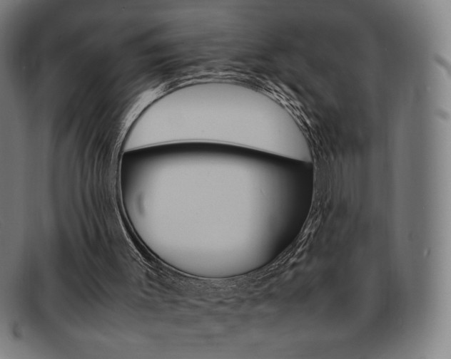 X0000092100003200709121119