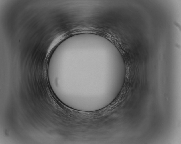X0000092100004200709121119