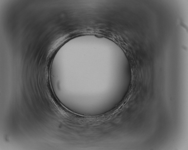 X0000092100005200709121119