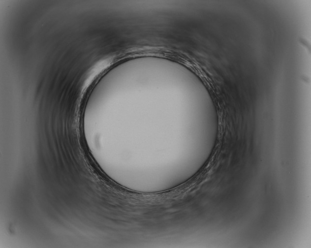 X0000092100006200709121119