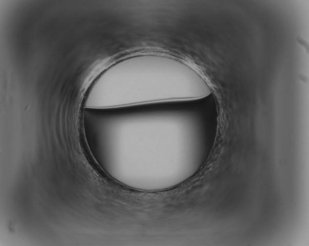 X0000092100007200709121119