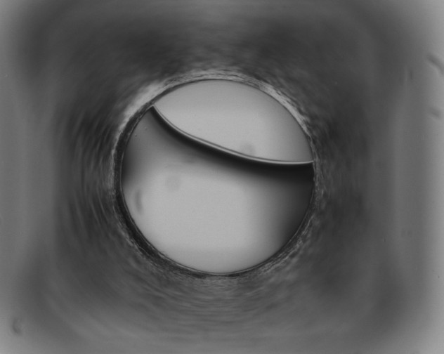 X0000092100008200709121119