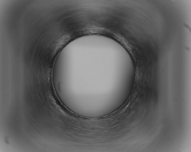X0000092100010200709121119