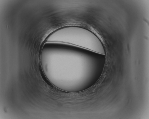 X0000092100011200709121119