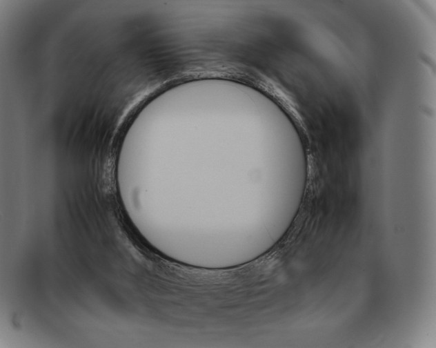 X0000092100012200709121119