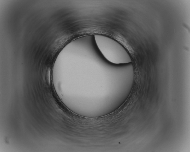 X0000092100014200709121119
