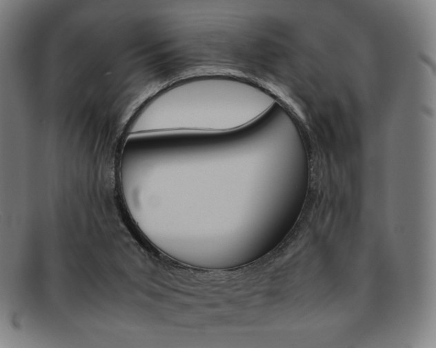 X0000092100015200709121119