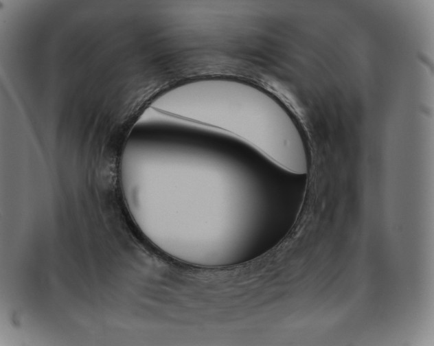 X0000092100017200709121119