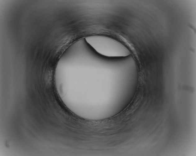 X0000092100018200709121119