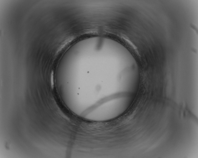 X0000092100020200709121119