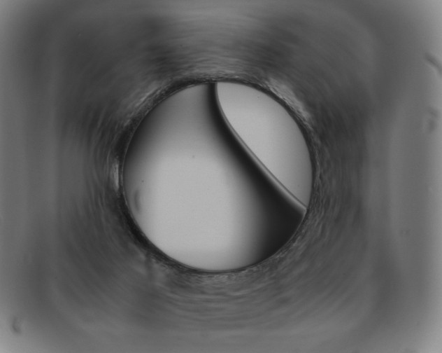X0000092100021200709121119