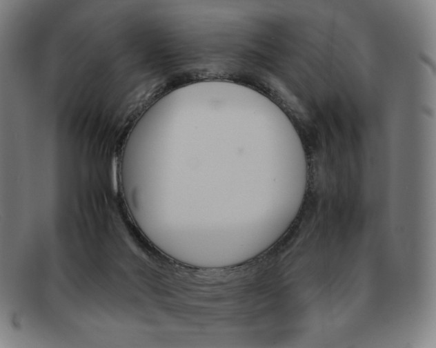 X0000092100022200709121119