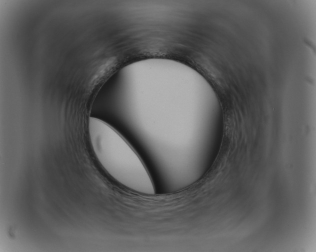 X0000092100023200709121119