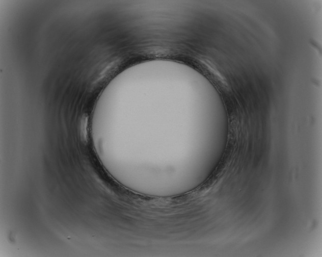 X0000092100024200709121119
