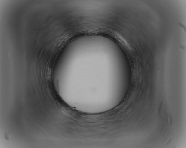 X0000092100025200709121119