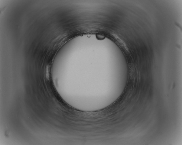 X0000092100026200709121119