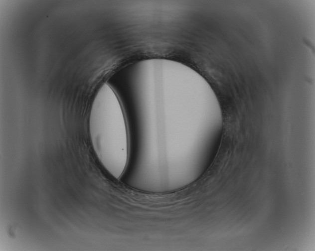 X0000092100027200709121119