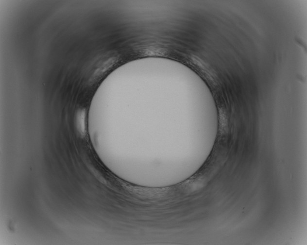 X0000092100028200709121119