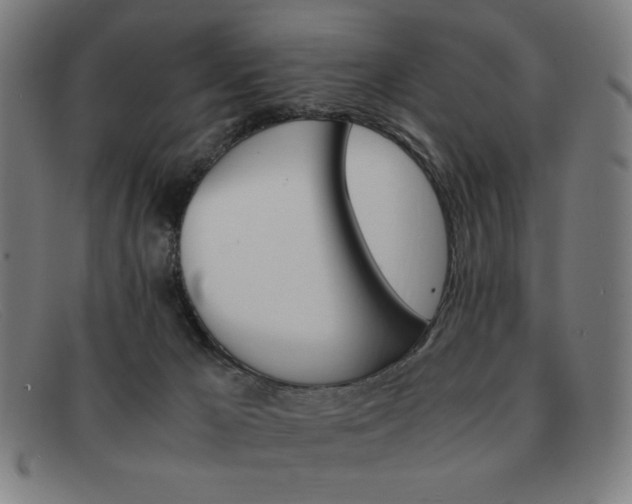 X0000092100029200709121119