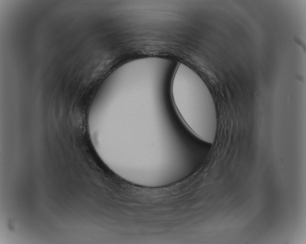 X0000092100031200709121119