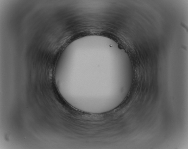 X0000092100032200709121118
