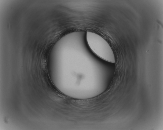 X0000092100033200709121118