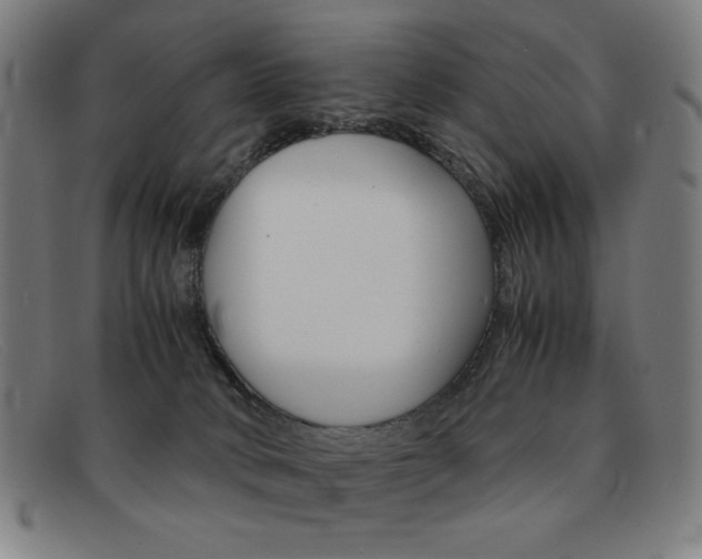 X0000092100034200709121118