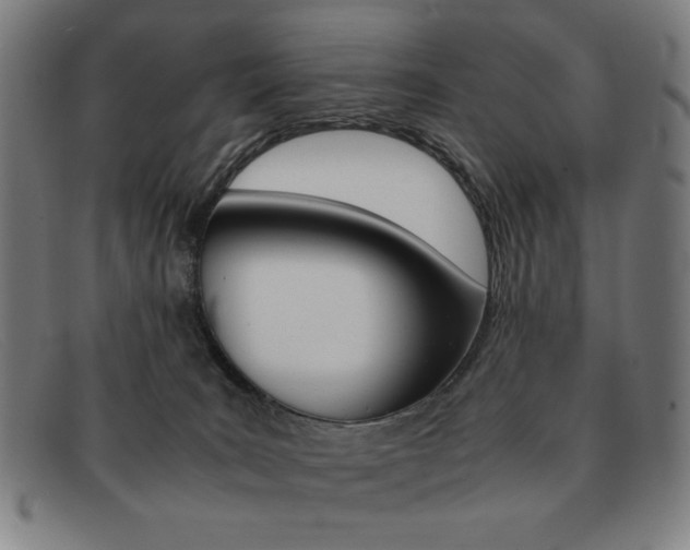 X0000092100035200709121118