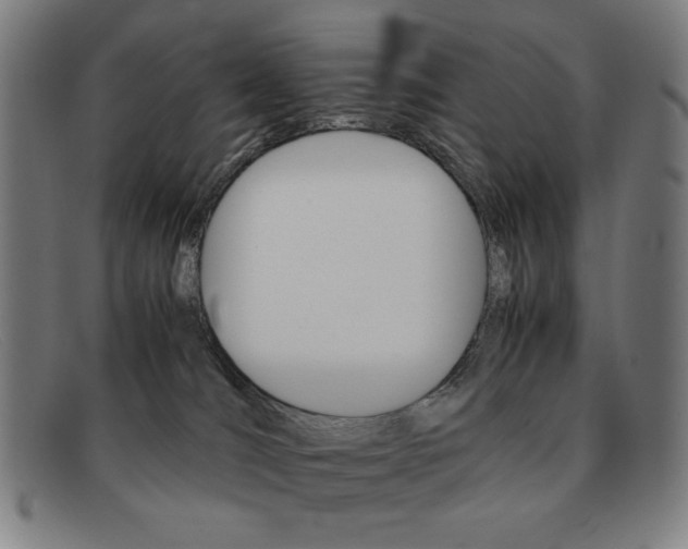 X0000092100036200709121118