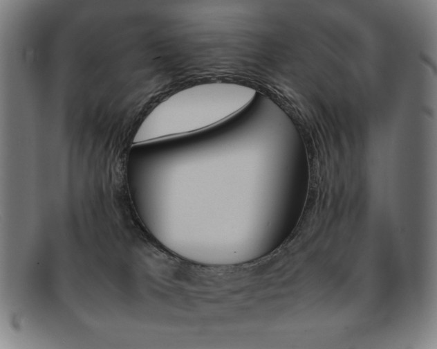 X0000092100037200709121118